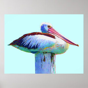 Tropical Coloured Pelican Poster