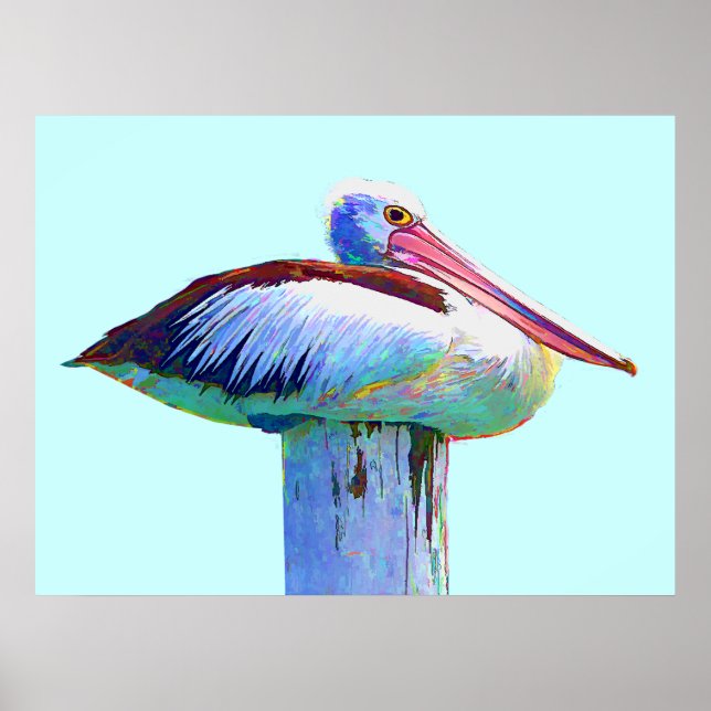 Tropical Coloured Pelican Poster (Front)