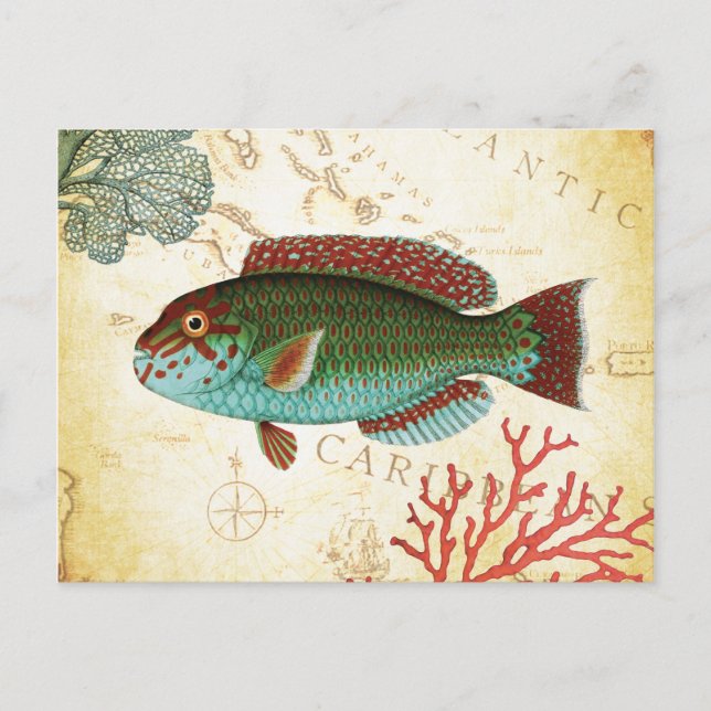 Tropical Colourful Caribbean Fish and Coral Postcard (Front)