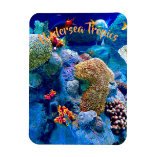 Tropical Colourful Undersea Coral Reef Magnet