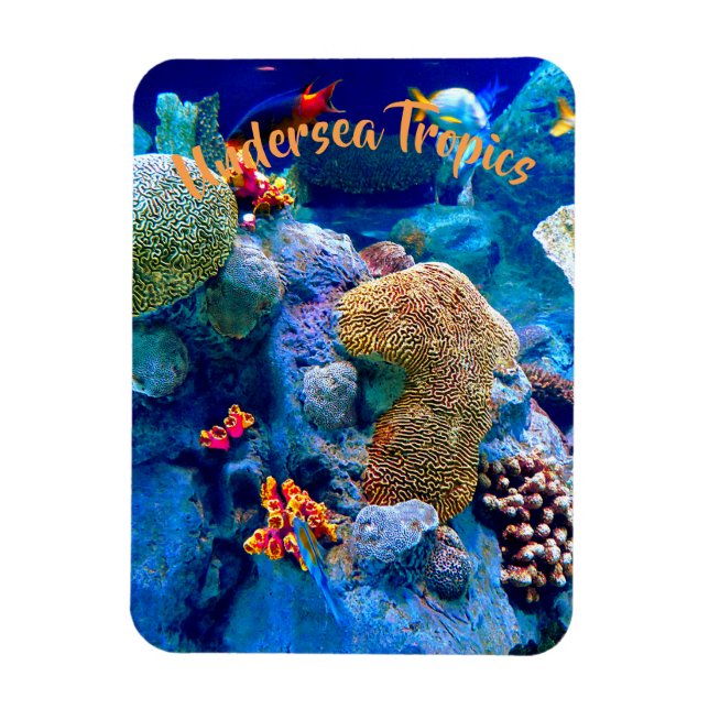 Tropical Colourful Undersea Coral Reef Magnet (Vertical)