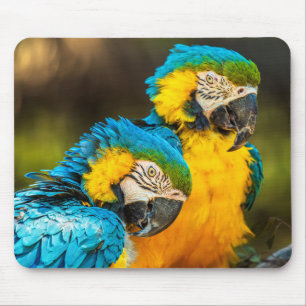 Tropical Companions Mouse Mat
