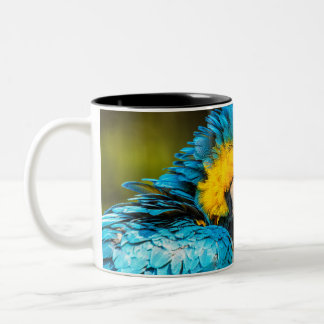 Tropical Companions Two-Tone Coffee Mug