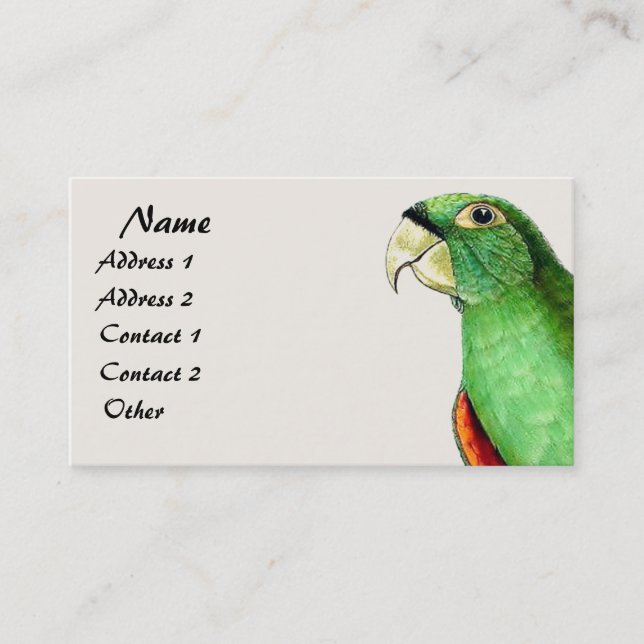 Tropical Conure Parrot Bird Wildlife Business Card (Front)