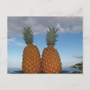 Tropical Couple Postcard