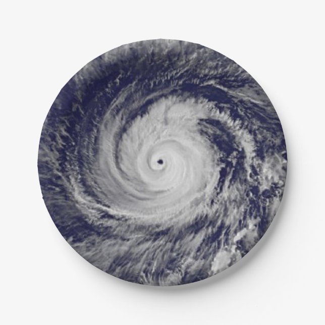 Tropical Cyclones Paper Plate (Front)