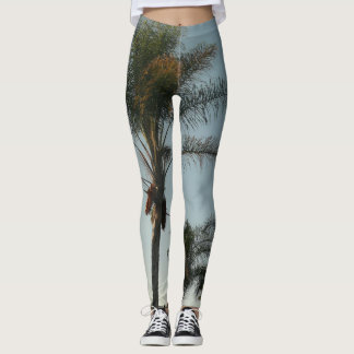 tropical  date palm trees against azure sky leggings