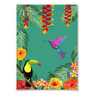 Tropical Delight hummingbird toucan flowers  Photo Print