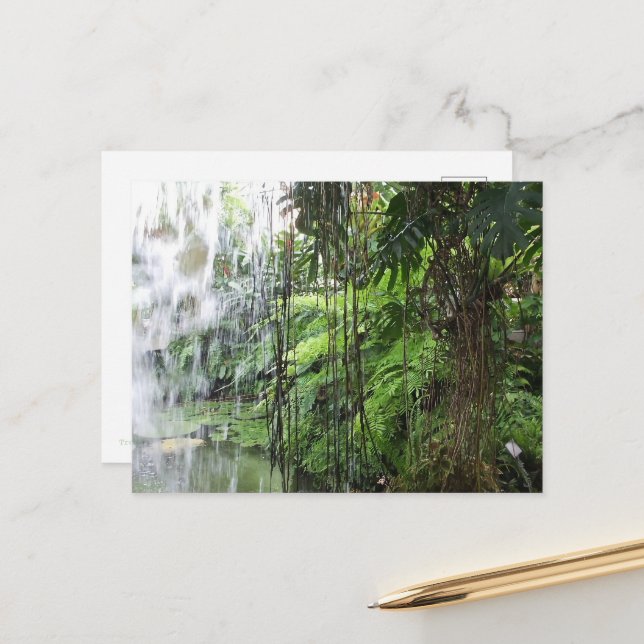 Tropical dream postcard (Front/Back In Situ)