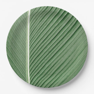 Tropical Elegance - Coconut Leaf Design Paper Plat Paper Plate