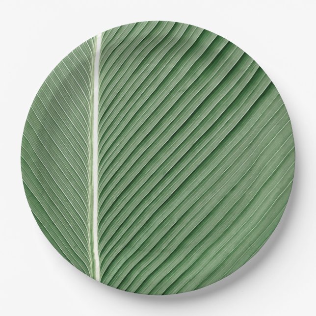 Tropical Elegance - Coconut Leaf Design Paper Plat Plate (Front)
