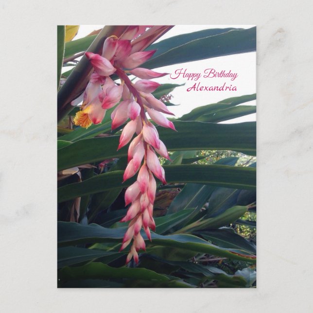 Tropical Elegant Pink Flowers Birthday Postcard (Front)