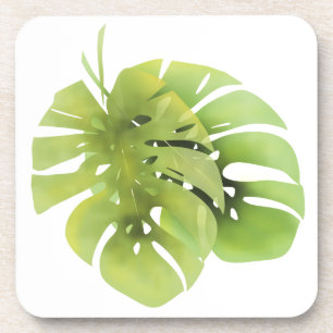 Tropical exotic green monstera leaves watercolor e coaster