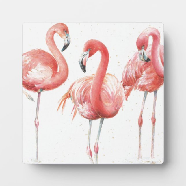 Tropical | Family of Flamingos Plaque (Front)
