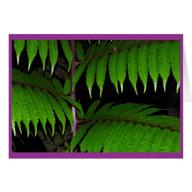 Tropical Ferns (Front Horizontal)