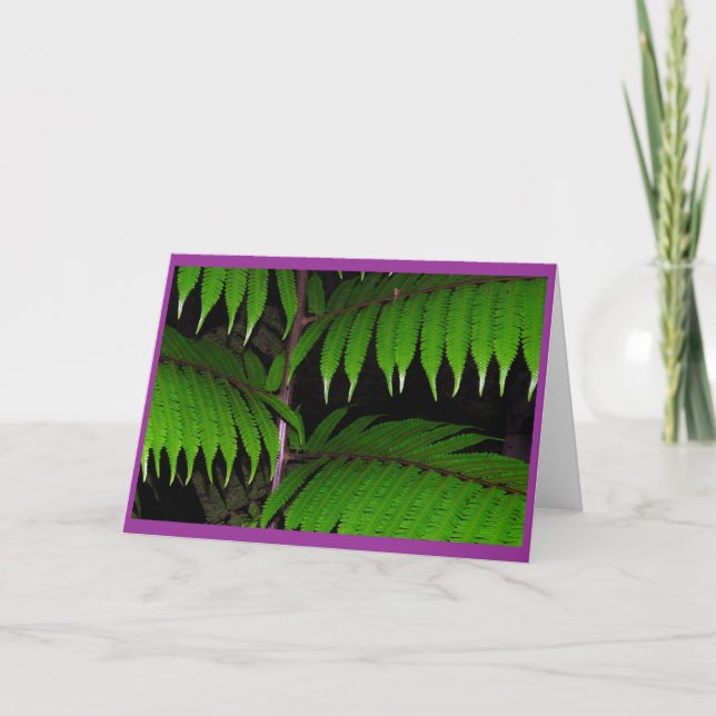 Tropical Ferns Card (Front)