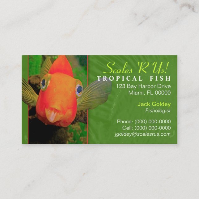 Tropical Fish Business Card (Front)