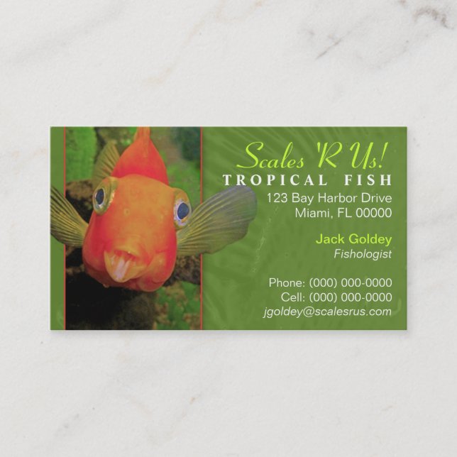 Tropical Fish Business Card (Front)
