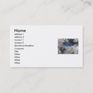 Tropical Fish Business Cards