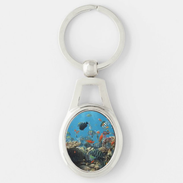 Tropical Fish Chaos Key Ring (Front)