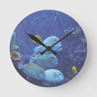 Tropical Fish Clock