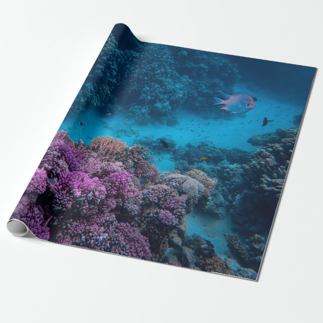 Tropical Fish Coral Sea Wrapping Paper (Unrolled)