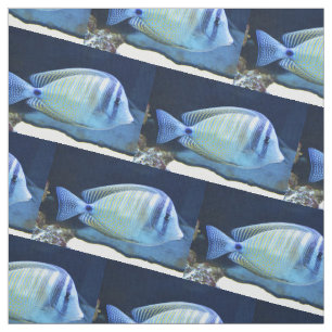 Tropical fish fabric