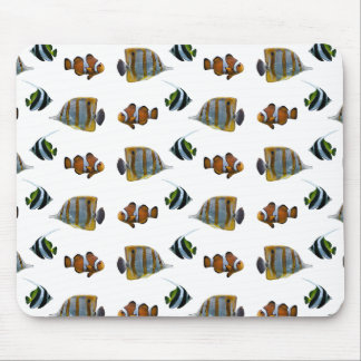 Tropical Fish Frenzy Mousemat (choose colour)