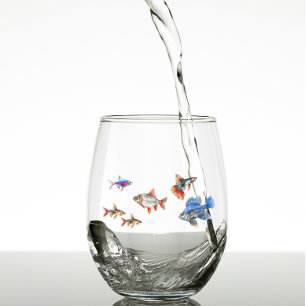 Tropical Fish Funny Cute Aquarium  Stemless Wine Glass