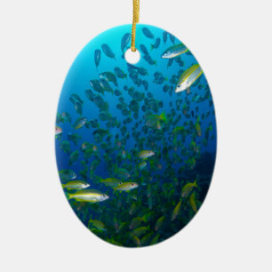 Tropical Fish Great Barrier Reef Coral Sea Ceramic Tree Decoration