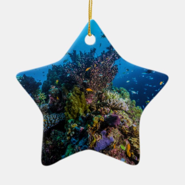 Tropical Fish Great Barrier Reef Coral Sea Ceramic Tree Decoration (Front)