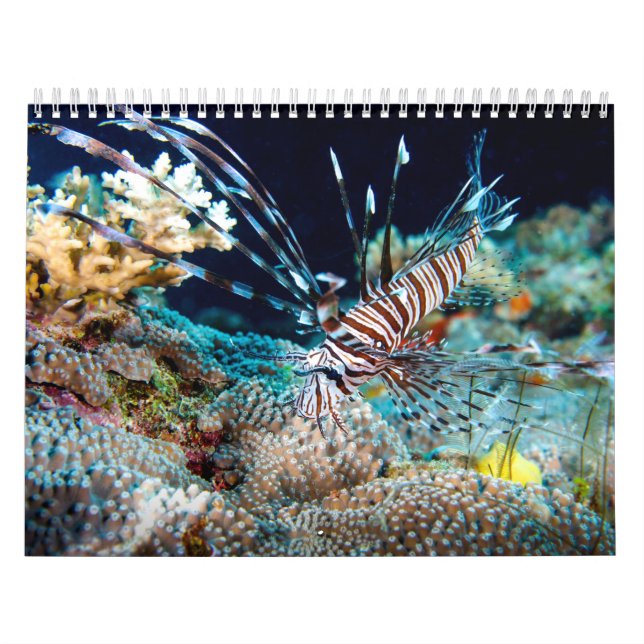 Tropical Fish Great Barrier Reef Coral Sea Gift Calendar (Cover)