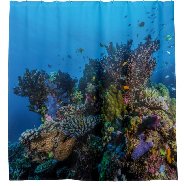 Tropical Fish Great Barrier Reef Coral Sea Gift Shower Curtain (Front)