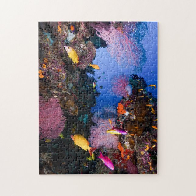 Tropical Fish Great Barrier Reef Coral Sea Jigsaw Puzzle (Vertical)