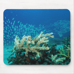 Tropical Fish Great Barrier Reef Coral Sea Mouse Mat