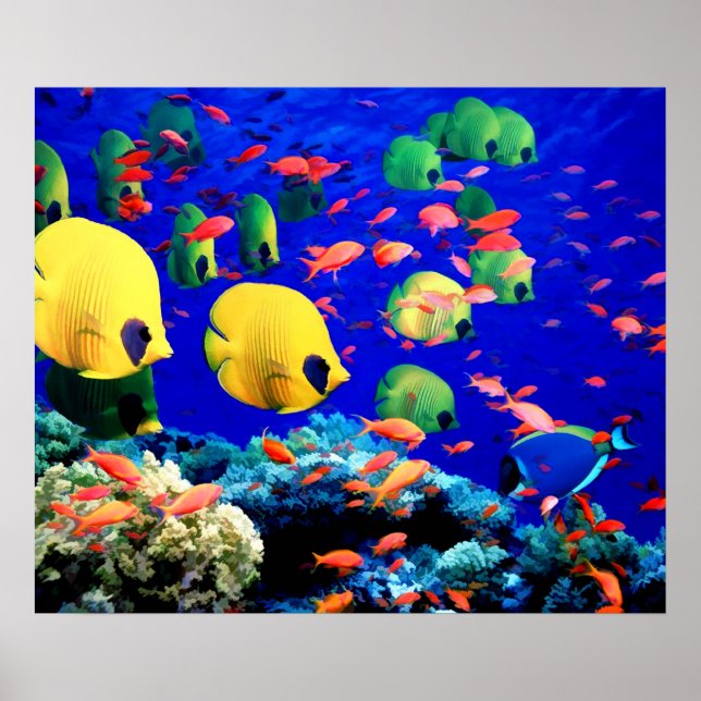 Tropical Fish in Coral Sea Poster (Front)