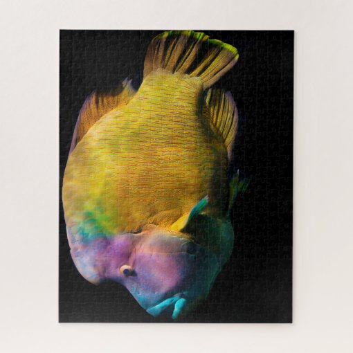 Tropical Fish Jigsaw Puzzle | Zazzle