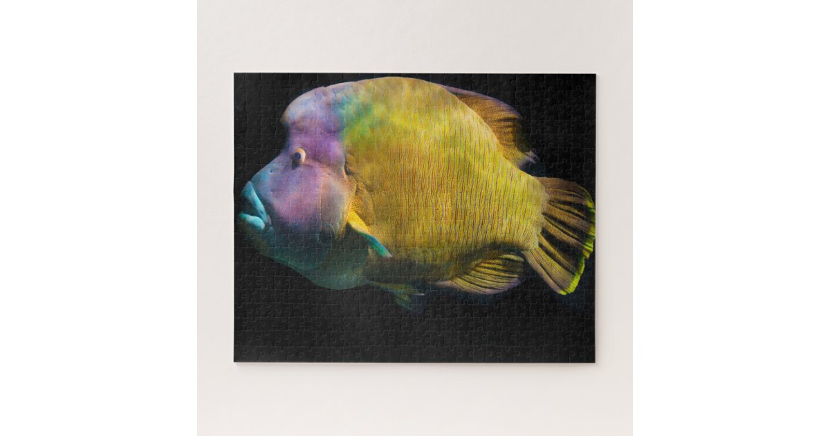 Tropical Fish Jigsaw Puzzle Zazzle