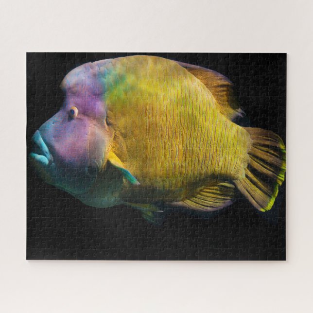 Tropical Fish Jigsaw Puzzle (Horizontal)