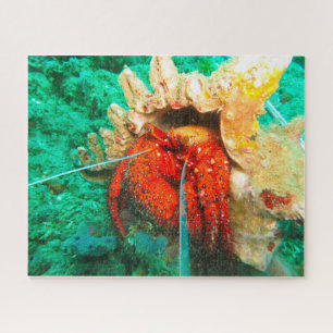 Tropical Fish Jigsaw Puzzle