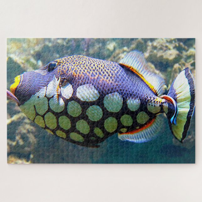 Tropical Fish Jigsaw Puzzle (Horizontal)