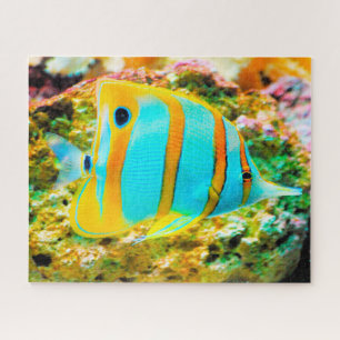 Tropical Fish Jigsaw Puzzle