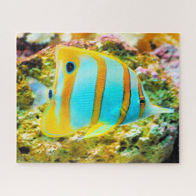 Tropical Fish Jigsaw Puzzle (Horizontal)
