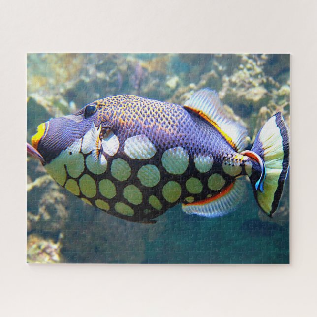 Tropical Fish Jigsaw Puzzle (Horizontal)
