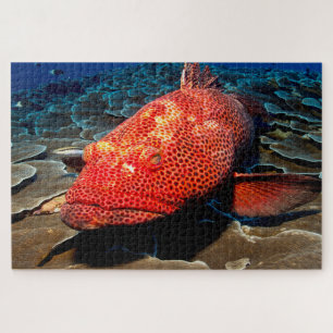 Tropical Fish Jigsaw Puzzle