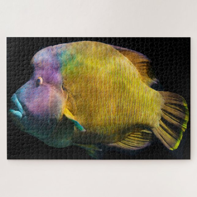 Tropical Fish Jigsaw Puzzle (Horizontal)
