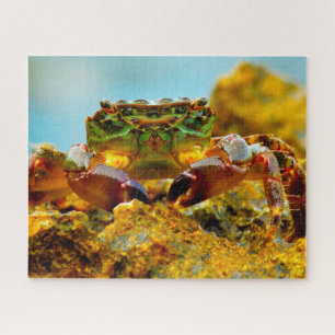 Tropical Fish Jigsaw Puzzle