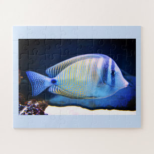 Tropical fish jigsaw puzzle