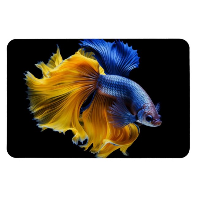 Tropical Fish  Magnet (Horizontal)