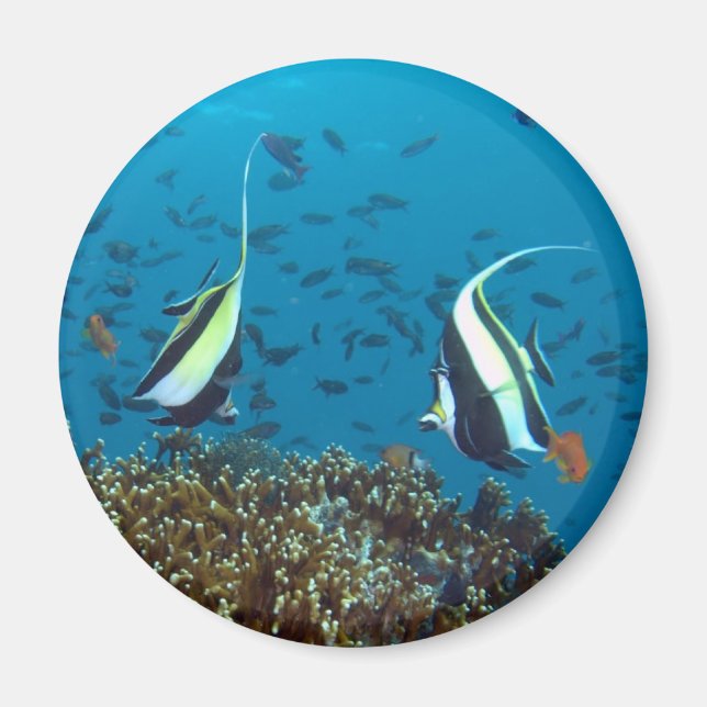 Tropical Fish Magnet (Front)